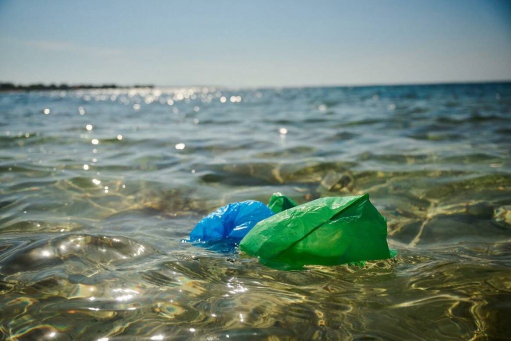 Κολυμπώντας παρέα με τα πλαστικά