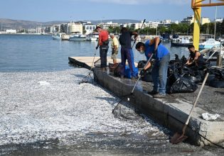 Βόλος: Πόρισμα της Εισαγγελίας δικαιώνει τον Περιφερειάρχη Θεσσαλίας για το θυρόφραγμα της Κάρλας