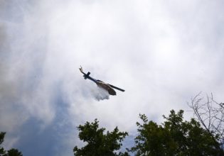 Φωτιά στα Ιωάννινα: Καίει δασική έκταση