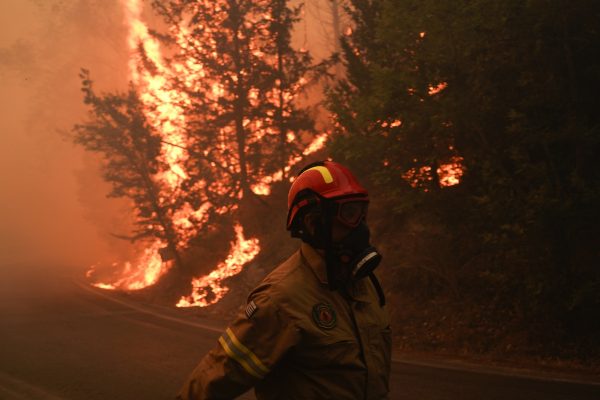 Φωτιά τώρα στον Βαρνάβα: Γιγαντιαία κινητοποίηση – Εκκενώνονται Σταμάτα, Γραμματικό, Ροδόπολη και Μικροχώρι Ωρωπού