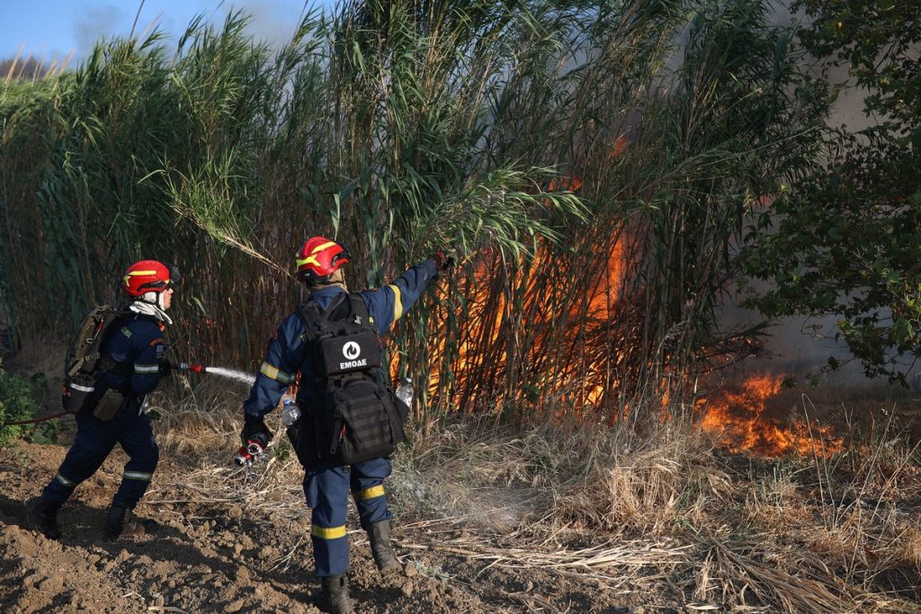 Υπό μερικό έλεγχο η φωτιά που ξέσπασε στον Μαραθώνα