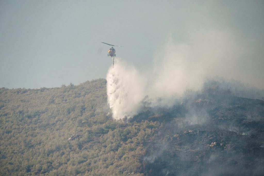 Φωτιά στην Αττική: Το τρίπτυχο που θα μετριάσει τις επιπτώσεις της κλιματικής κρίσης