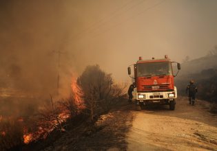 Φωτιά στην Καρδίτσα: Καίει σε δασική έκταση στη λίμνη Πλαστήρα
