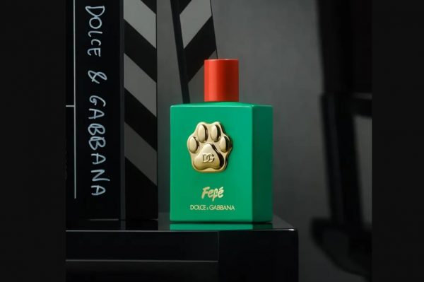Dolce & Gabbana: Το νέο άρωμα του οίκου ονομάζεται Fefé και απευθύνεται αποκλειστικά στον σκύλο σας