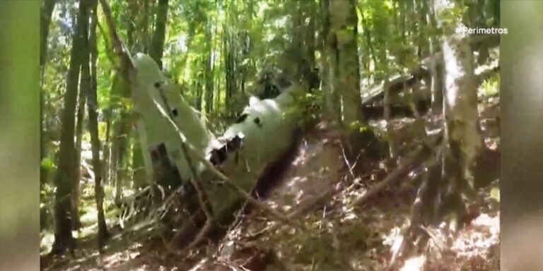 Δράμα: Μαχητικό αεροσκάφος βρέθηκε 77 χρόνια μετά την πτώση του στο δάσος Φρακτού
