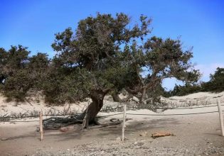 Νήσος Χρυσή: Έργο καθαρισμού των στερεών αποβλήτων