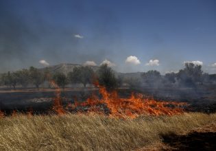 Κορωπί: Φωτιά τώρα στην Αγία Μαρίνα κοντά σε σπίτια – Νέο 112 για εκκένωση