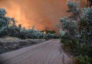 Θλίψη στην Εύβοια: Περισσότερα από 9.500 στρέμματα κάηκαν από την πυρκαγιά στον Πισσώνα