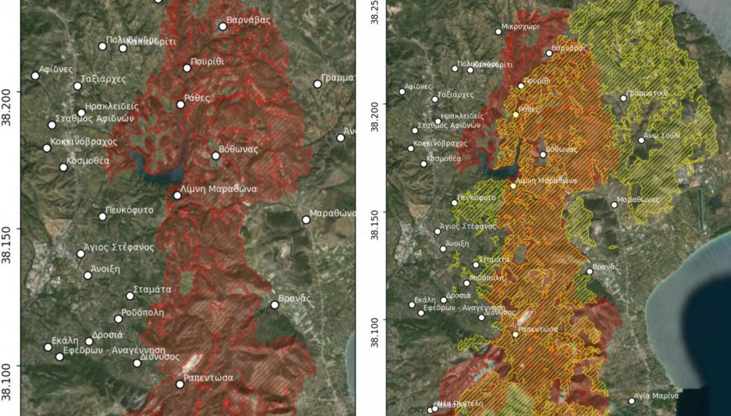 Αττική: Το 60% των καμμένων του 2024 είχε ξανακαεί το 2009