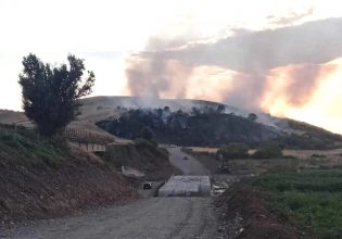 Φάρσαλα – Φωτιά: Κοντά στον οικισμό Αμπελιά οι φλόγες