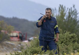 Φωτιά στα Ιωάννινα: Τρεις εστίες εκδηλώθηκαν ταυτοχρόνως ανάμεσα σε Σταυράκι και Καρδαμίτσα