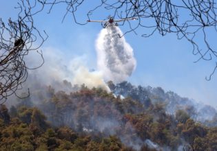 Φωτιά στην Εύβοια: Φαίνεται να προκλήθηκε από γεράκι που στάθηκε σε ηλεκτροφόρα καλώδια