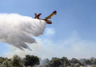 Φωτιά σε δασική έκταση στο Θέρμο Αιτωλοακαρνανίας – Επιχειρούν εναέρια