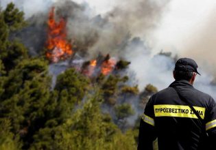 Θάνατος πυροσβέστη στη Θάσο: Σκοτώθηκε σε τροχαίο – Καταγγελία για παράβαση ωραρίου