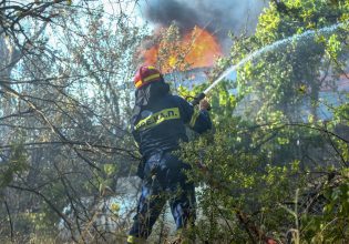 ΠΑΣΟΚ για φωτιά στην Αττική: Στο ίδιο έργο θεατές, μετράμε απώλειες φυσικού πλούτου και κόπων μιας ζωής