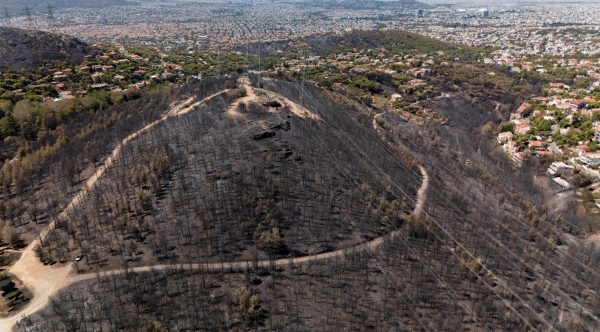 Οι μεγάλοι κίνδυνοι των καταστροφικών πυρκαγιών στην Αττική – Ερημοποίηση περιοχών, φόβοι για επανάληψη