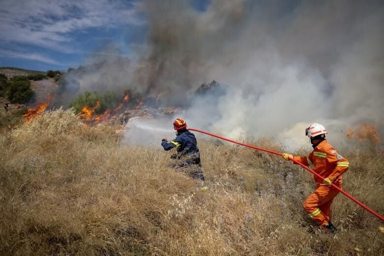 Οριοθετήθηκε η φωτιά στην Πρέβεζα