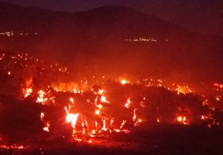 Φωτιά στο Ρέθυμνο: Ολονύχτια μάχη με τις φλόγες – Έφτασαν δασοκομάντος από Αθήνα