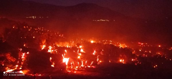 Φωτιά στο Ρέθυμνο: Ολονύχτια μάχη με τις φλόγες – Έφτασαν δασοκομάντος από Αθήνα