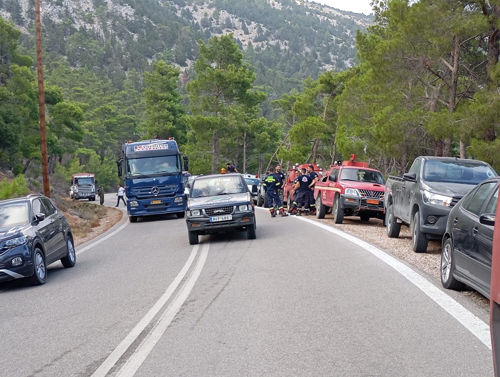 Δύο πυροσβέστες τραυματίστηκαν στη φωτιά στη Ρόδο