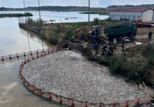 Στο Βόλο ο Νίκος Παππάς: Να μην επικρατήσει αδράνεια μετά την καταστροφή – Άμεση οικολογική και οικονομική αποκατάσταση