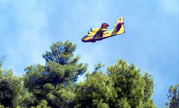 Φωτιές: Χωρίς ενεργό μέτωπο σε Εύβοια και Ρέθυμνο