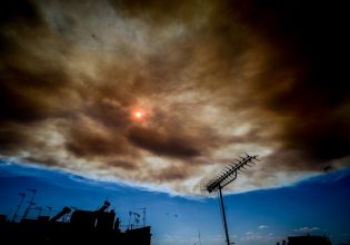 Φωτιά στην Αττική: «20 χρόνια δεν έχω δει κάτι τέτοιο», ανέφερε ο πρόεδρος της ΕΠ.ΟΜ.Ε.Α