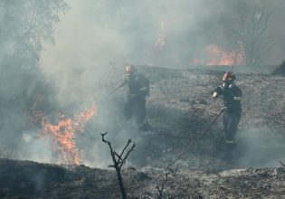 Φωτιά στην Αττική: Ήχησε το 112 για εκκένωση της Καλλιτεχνούπολης