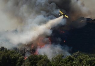 Φωτιά στα Καλύβια στην περιοχή Προφάρτα – Επιχειρούν και εναέρια μέσα