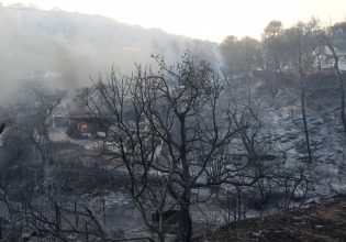 Φωτιά στην Αττική: Ενισχύονται ξανά οι άνεμοι από το μεσημέρι