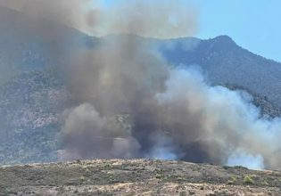 Φωτιά στα Μέγαρα: Καίει σε δασική έκταση στο Νέο Μάζι – Μήνυμα από το 112 για εκκένωση