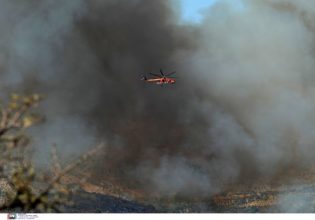 Φωτιά στο Ρέθυμνο: Χωρίς ενεργό μέτωπο – Έκαιγε επί 3 ημέρες, «στάχτη» χιλιάδες στρέμματα