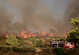 Φωτιά στην Αττική: Συγκέντρωση ειδών πρώτης ανάγκης στον Δήμο Ηλιούπολης