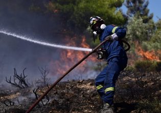 Φωτιά στην Αττική: Διακοπές ηλεκτροδότησης στις πληγείσες περιοχές – Ενημέρωση ΔΕΔΔΗΕ