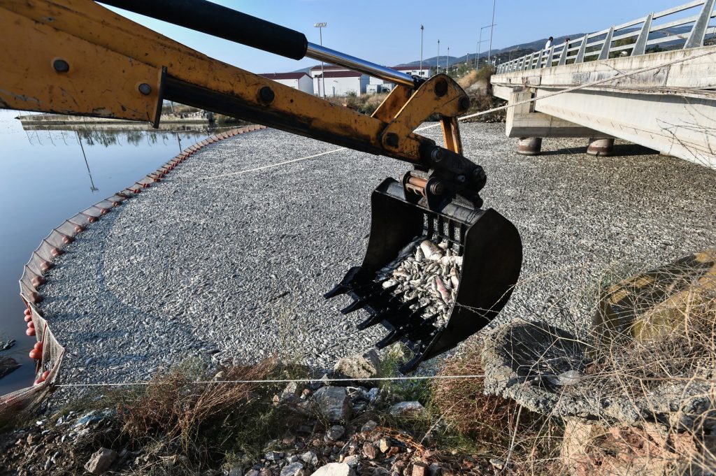 Ποιος φταίει για τους τόνους νεκρά ψάρια στον Παγασητικό