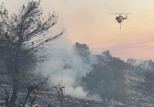 Γλυφάδα: Συνελήφθησαν οι νεαροί που έβαλαν τη φωτιά στην Τερψιθέα