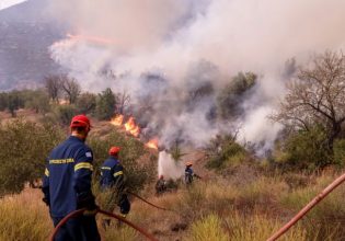 Πυρκαγιά σε δασική έκταση στην Ερέτρια