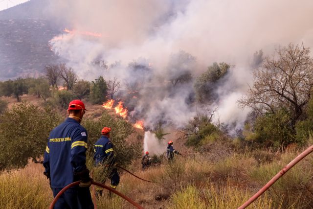 Φωτιά: Συλλήψεις για εμπρησμούς σε Βάρη, Μαγούλα και Δομοκό – «Οι υπαίτιοι θα πληρώσουν», διαμηνύει ο Κικίλιας