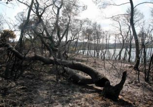 Aτέλεια στη χρήση νερού σε Βαρνάβα και Καλέντζι αποφάσισε ο Δήμος Μαραθώνος