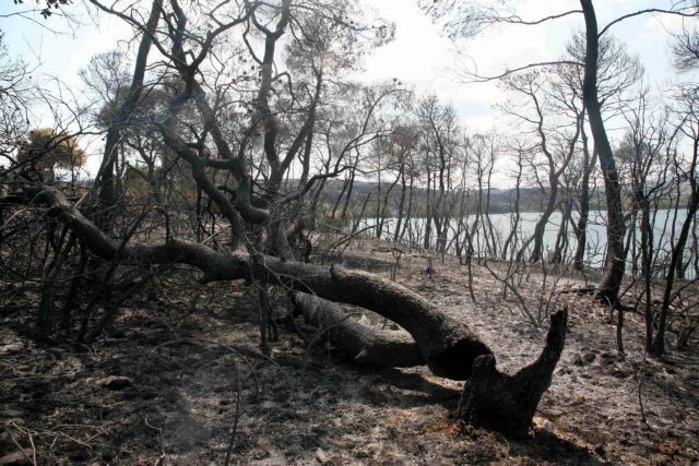 Aτέλεια στη χρήση νερού σε Βαρνάβα και Καλέντζι αποφάσισε ο Δήμος Μαραθώνος