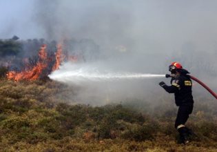 Δήμαρχος Μαραθώνα στο in: «Έχει καεί σχεδόν το 30% του Δήμου μας»