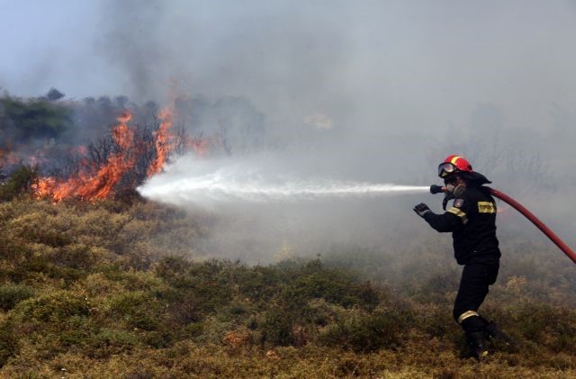 Δήμαρχος Μαραθώνα στο in: «Έχει καεί σχεδόν το 30% του Δήμου μας»