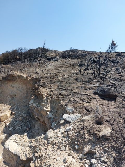 Λήψη εκτάκτων μέτρων οικονομικής στήριξης των πληγέντων στη 17η συνεδρίαση ΔΣ Δήμου Πεντέλης