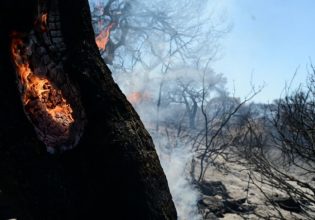 Αίτημα της δημάρχου Χαλκιδαίων για την κήρυξη σε κατάσταση έκτακτης ανάγκης περιοχών του Δήμου