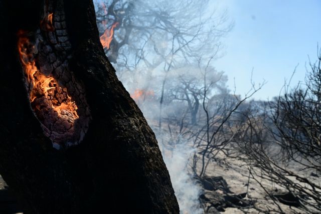 Αίτημα της δημάρχου Χαλκιδαίων για την κήρυξη σε κατάσταση έκτακτης ανάγκης περιοχών του Δήμου