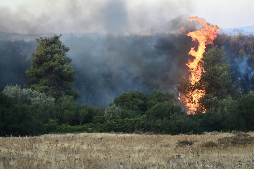 Φωτιά στην Αττική: Εμπρηστικές βόμβες τα ακαθάριστα οικόπεδα στην Πεντέλη