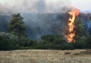 Φωτιά στην Αττική: Εμπρηστικές βόμβες τα ακαθάριστα οικόπεδα στην Πεντέλη