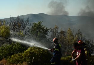 Φωτιά στην Αττική: Υψηλές θερμοκρασίες με ισχυρούς ανέμους έως και 7 μποφόρ τη Δευτέρα