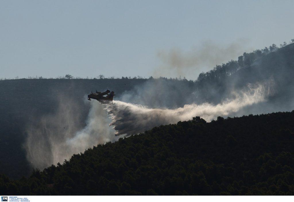 Φωτιά τώρα στο Μαρκόπουλο – «Σηκώθηκαν» εναέρια μέσα