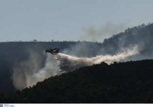 Φωτιά τώρα στο Μαρκόπουλο – «Σηκώθηκαν» εναέρια μέσα